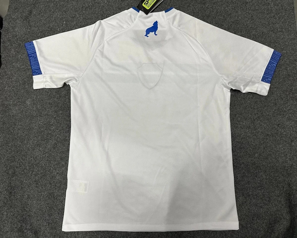 Camisa reserva - Paysandu 2024/25 - S a XXL