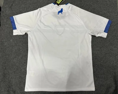 Camisa reserva - Paysandu 2024/25 - S a XXL