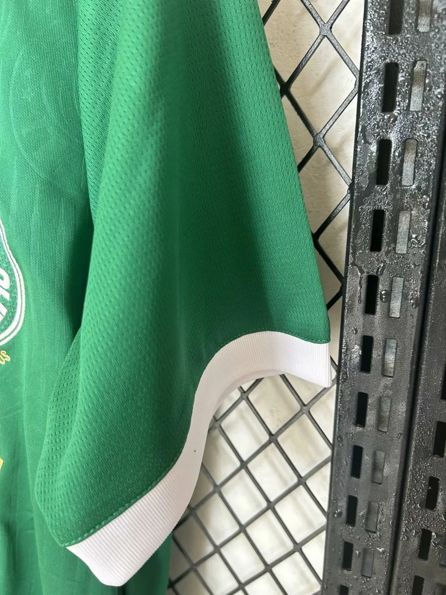 Camisa titular - Palmeiras 2024/25 - S a XXL