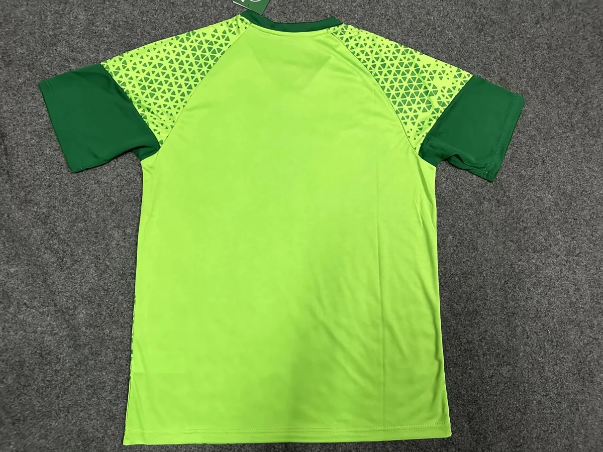 Camisa de treino - Palmeiras 2024/25 - S a XXL