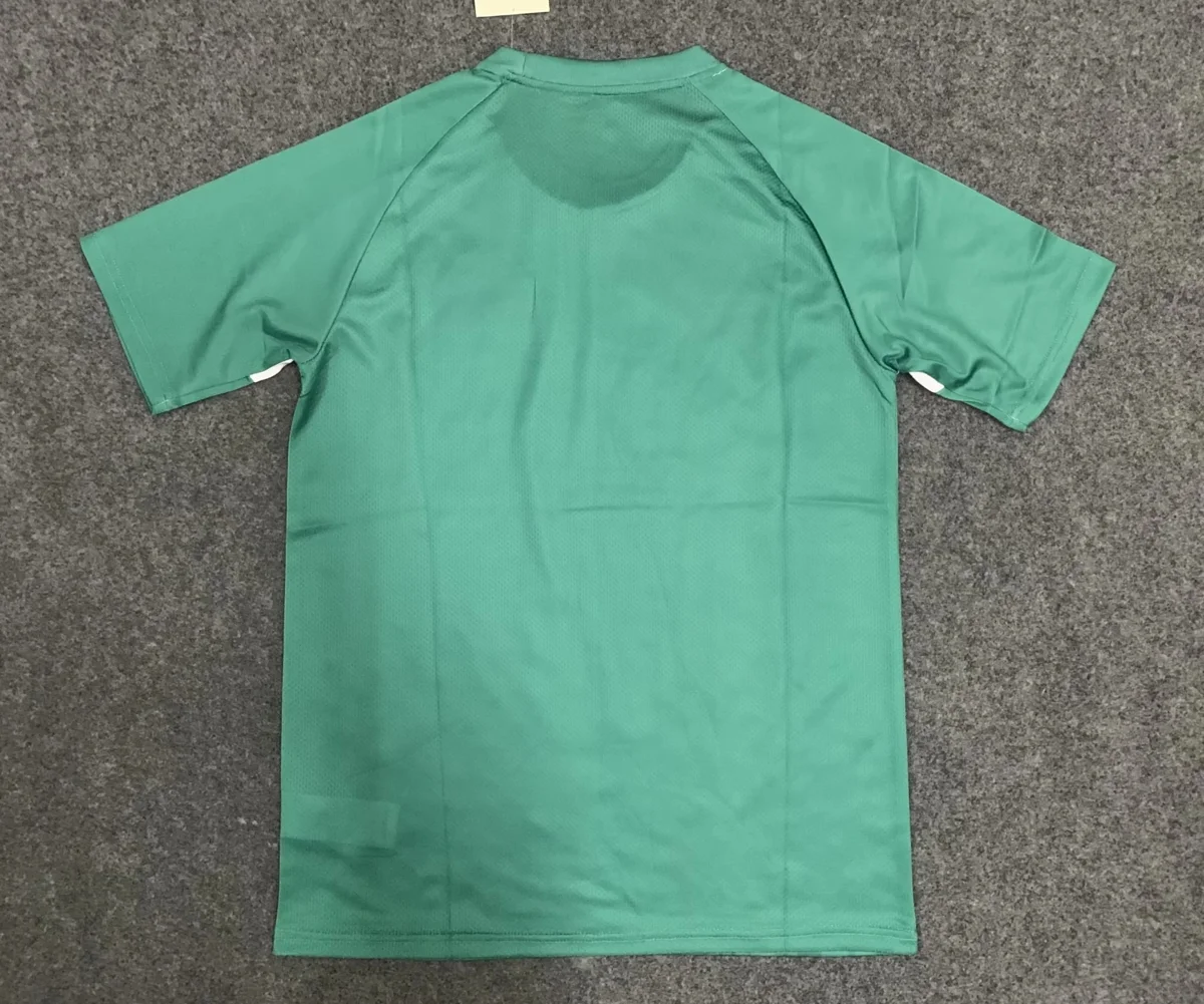 Camisa de treino - Palmeiras 2024/25 - S a XXL