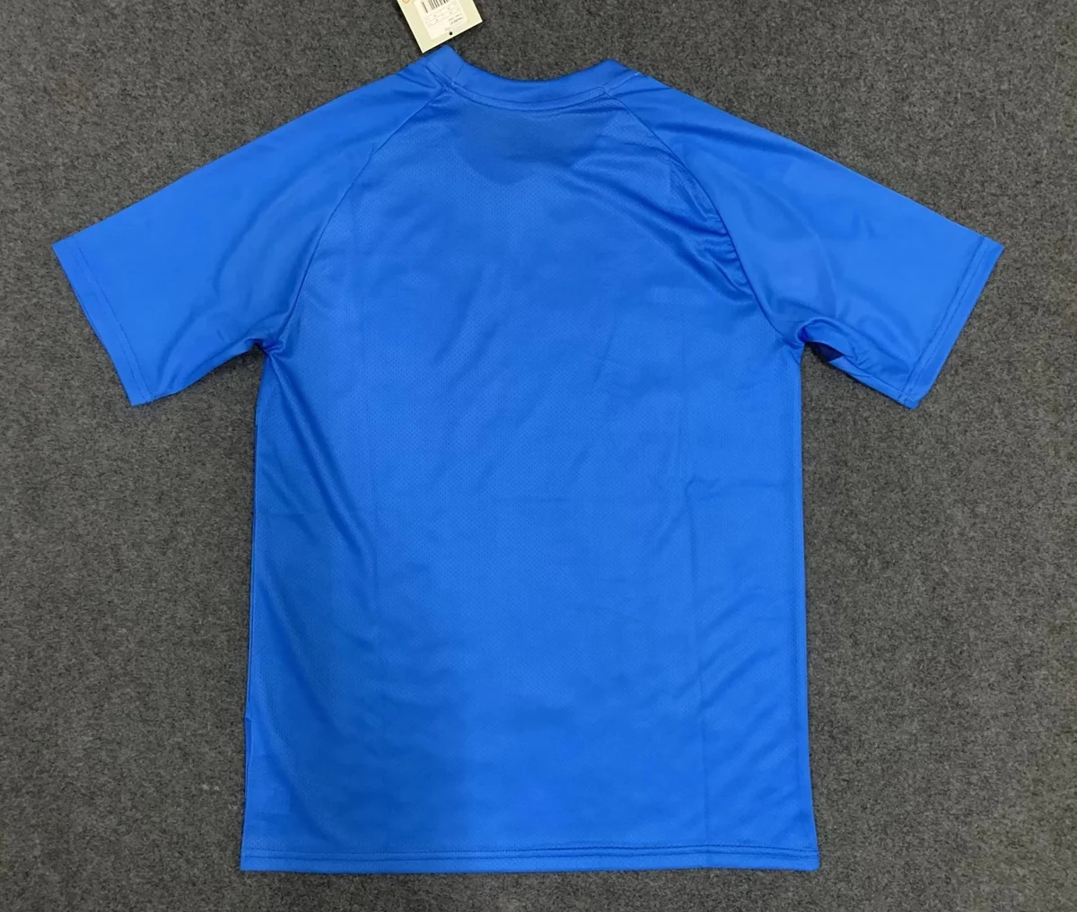 Camisa de treino - Palmeiras 2024/25 - S a XXL
