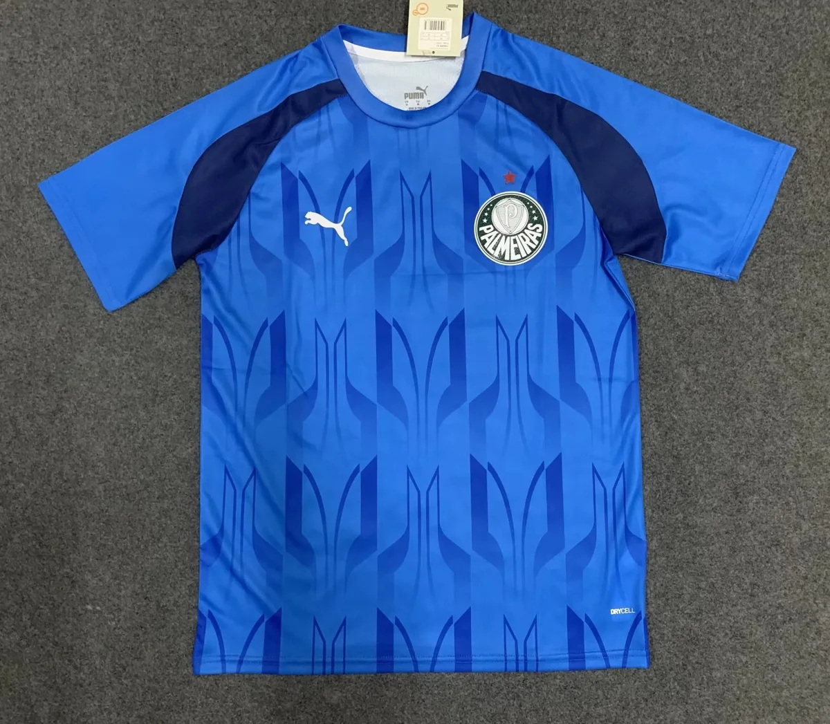 Camisa de treino - Palmeiras 2024/25 - S a XXL