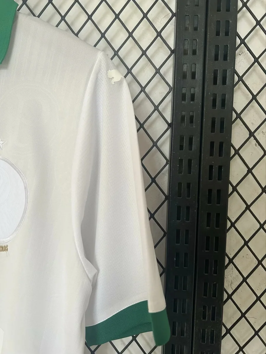 Camisa - Palmeiras 2024/25 - S a 4XL