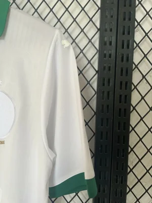Camisa - Palmeiras 2024/25 - S a 4XL