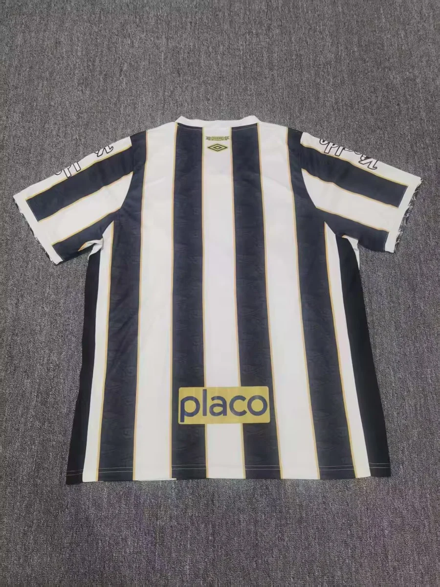 Camisa reserva - Santos 2024/25 - S a XXL