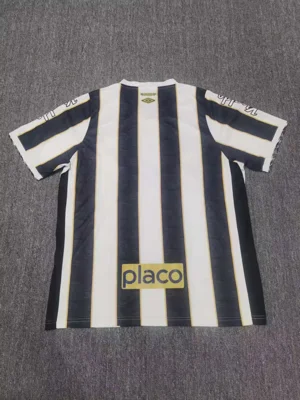 Camisa reserva - Santos 2024/25 - S a XXL