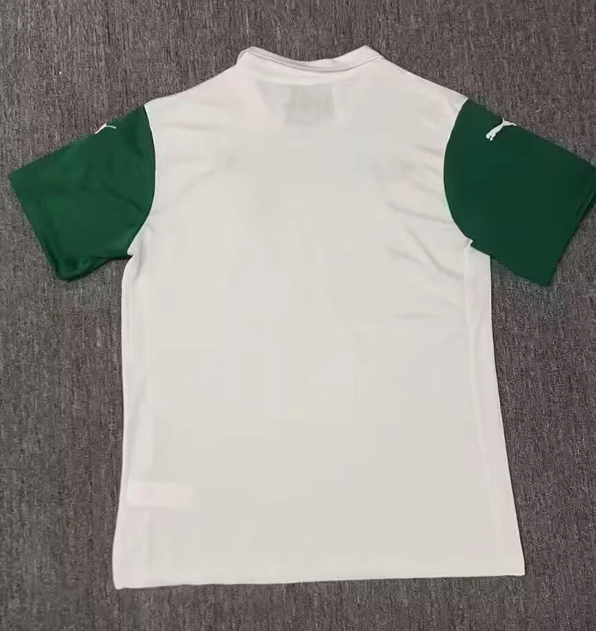 Camisa reserva - Palmeiras 2025/26 - S a XXL - foto 3