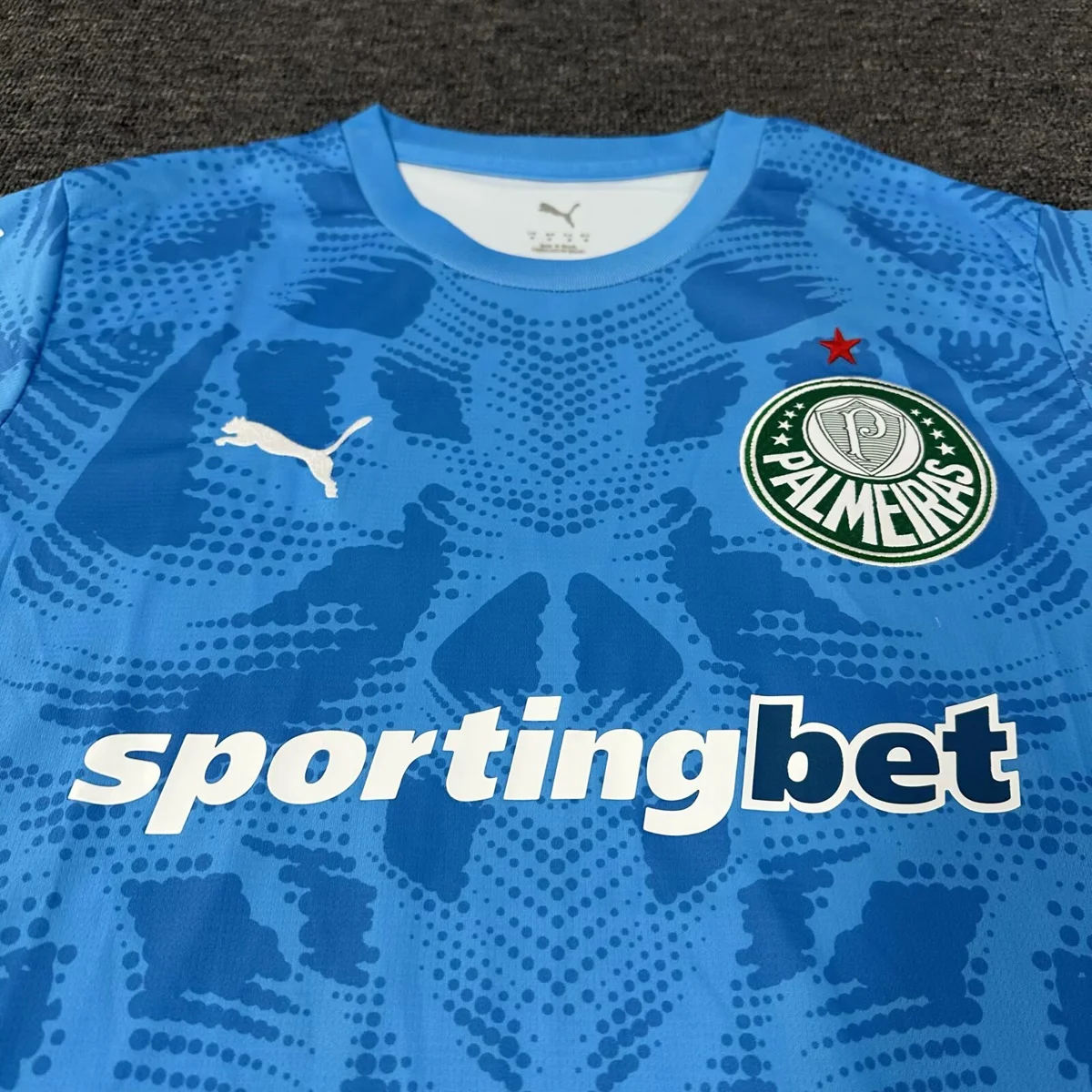 Camisa de goleiro - Palmeiras 2025/26 - S a 4XL - foto 3