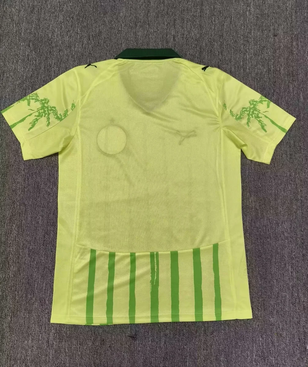 Camisa - Palmeiras 2025/26 (edição especial) - S a XXL