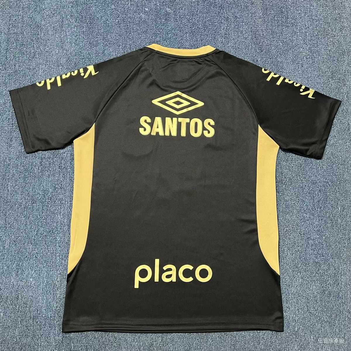 Camisa - Santos 2025/26 (edição especial) - S a XXL - foto 2