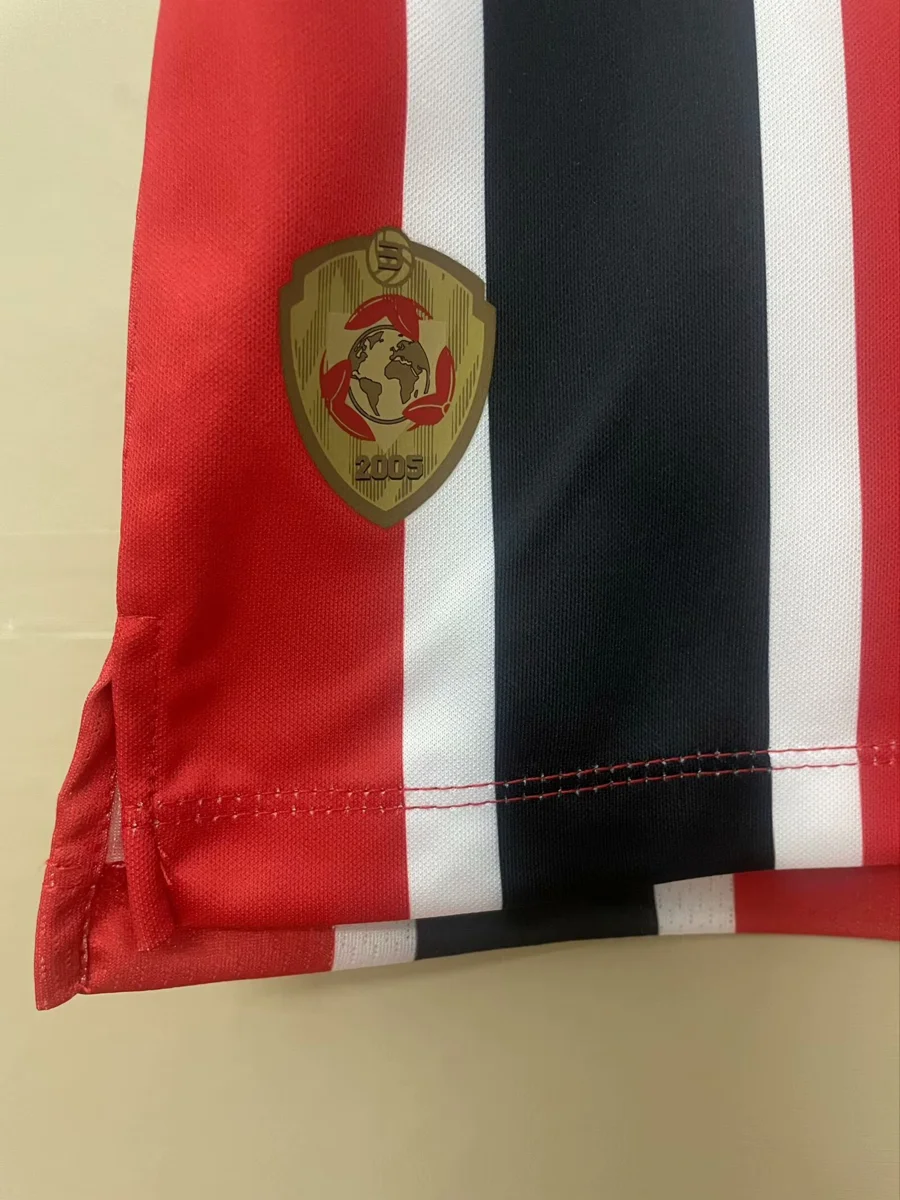 Camisa reserva - São Paulo 2025/26 - S a 4XL - foto 4