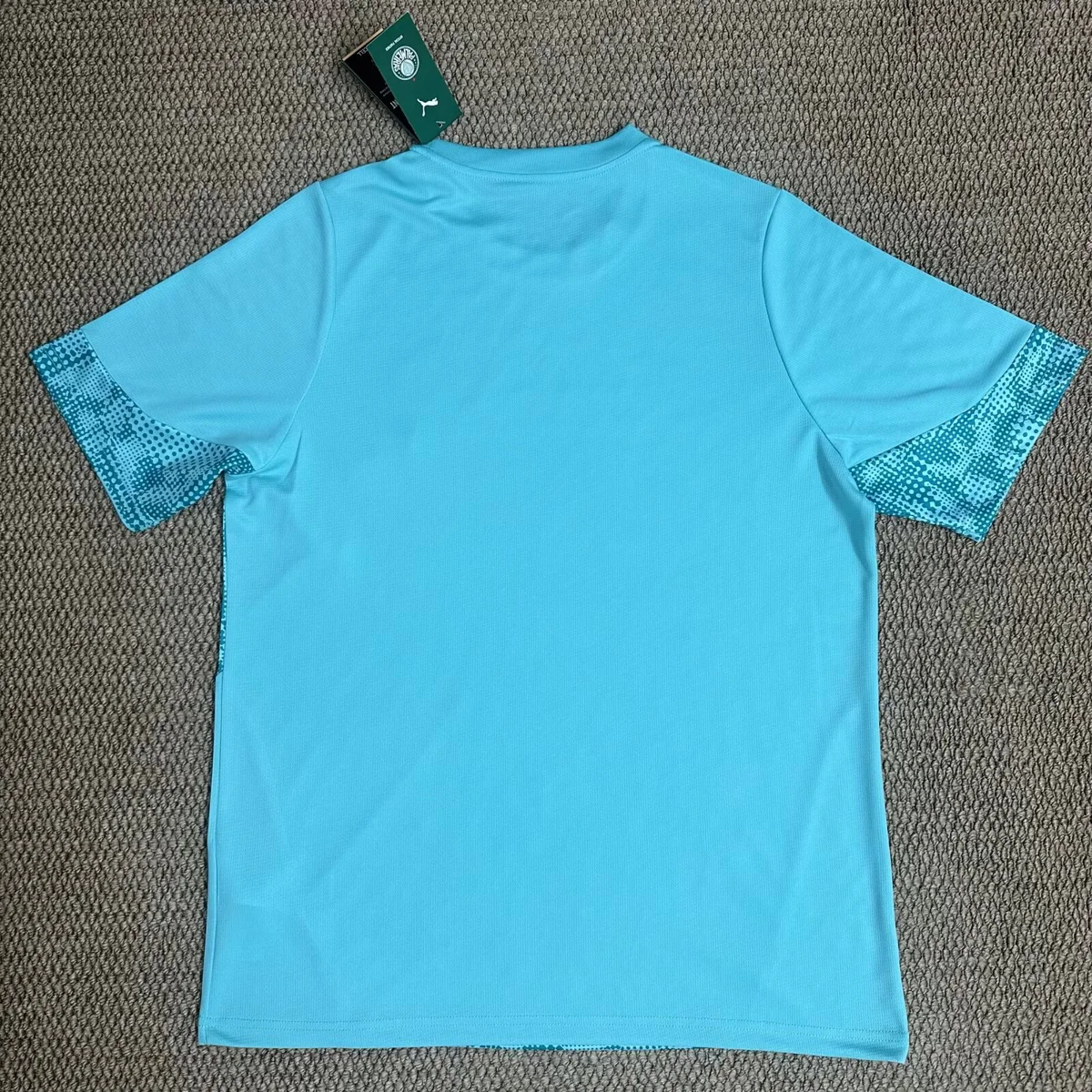 Camisa de treino - Palmeiras 2026/27 - S a 4XL