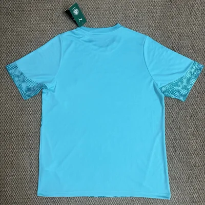 Camisa de treino - Palmeiras 2026/27 - S a 4XL