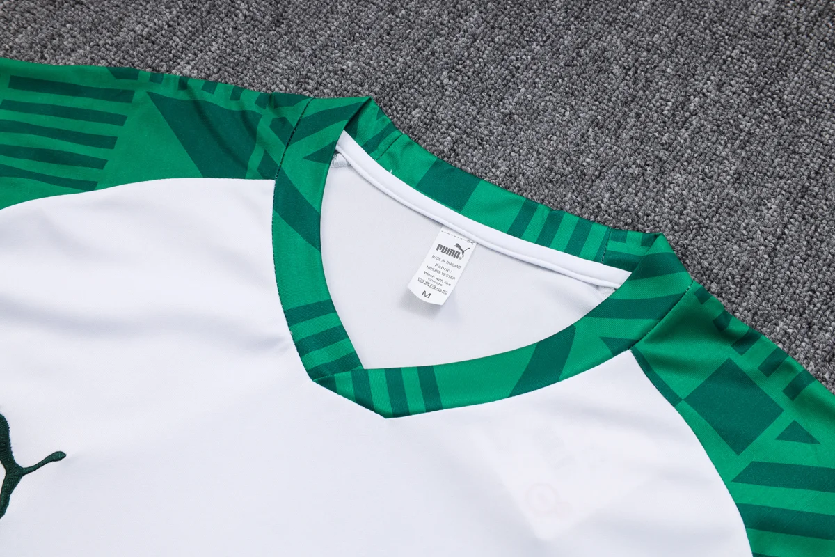 Camisa conjunto - Palmeiras (manga curta)