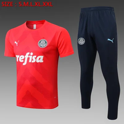 Camisa conjunto - Palmeiras (manga curta)