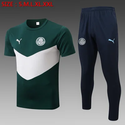 Camisa conjunto - Palmeiras (manga curta)
