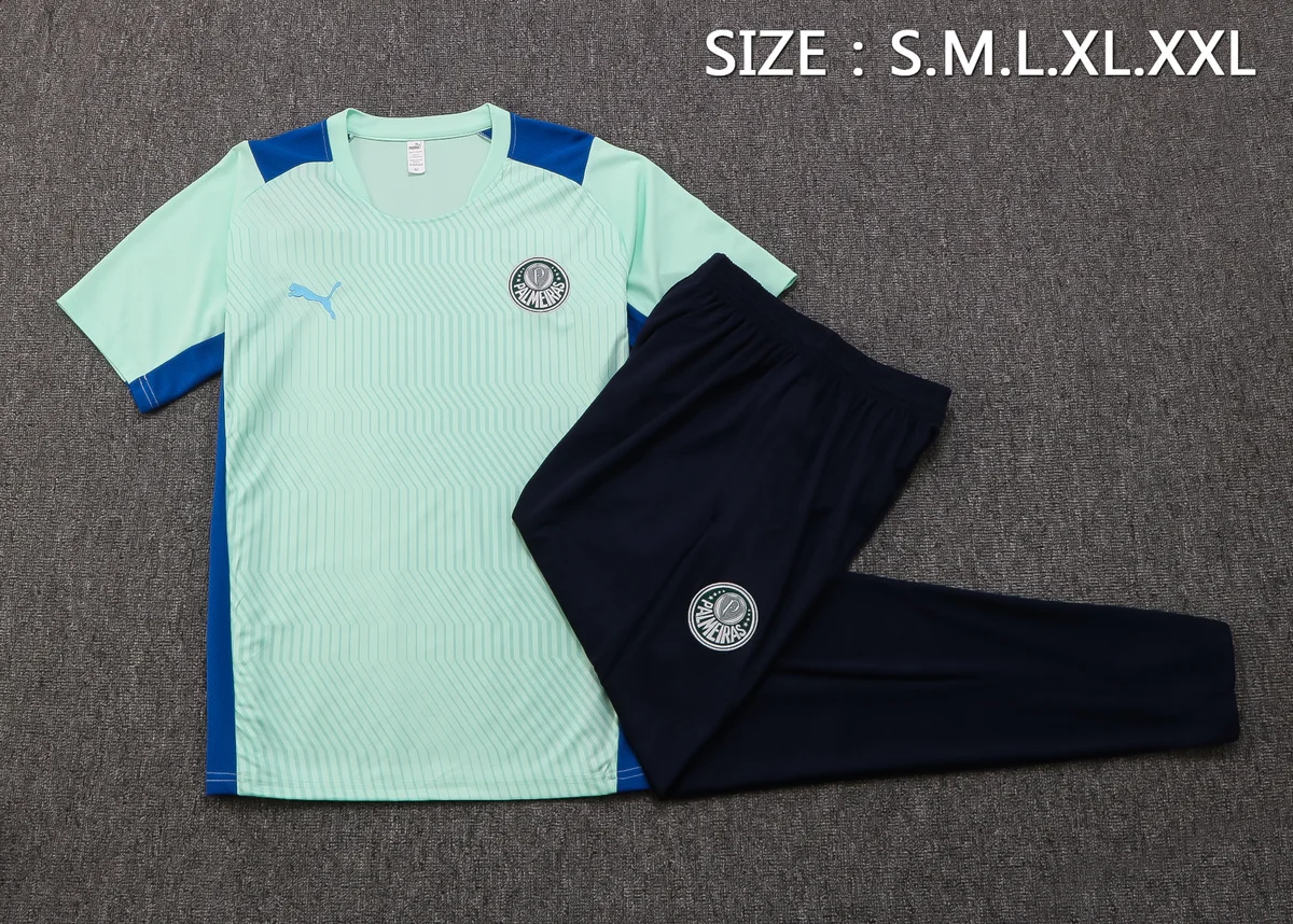 Camisa - Palmeiras (manga curta)