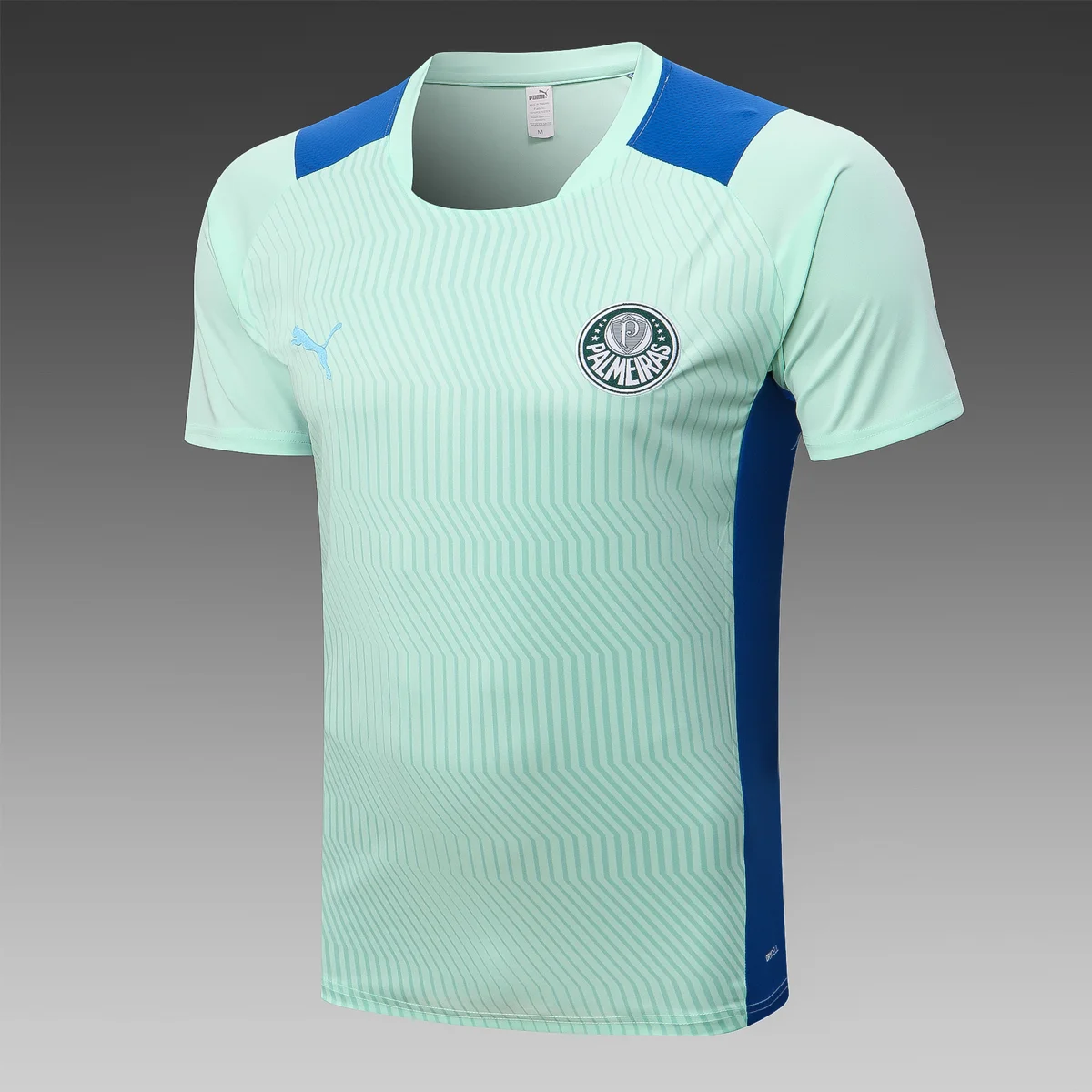 Camisa - Palmeiras (manga curta)