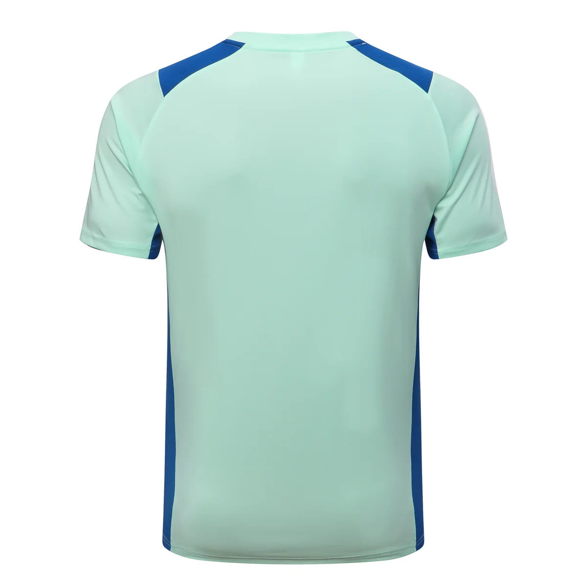 Camisa - Palmeiras (manga curta)