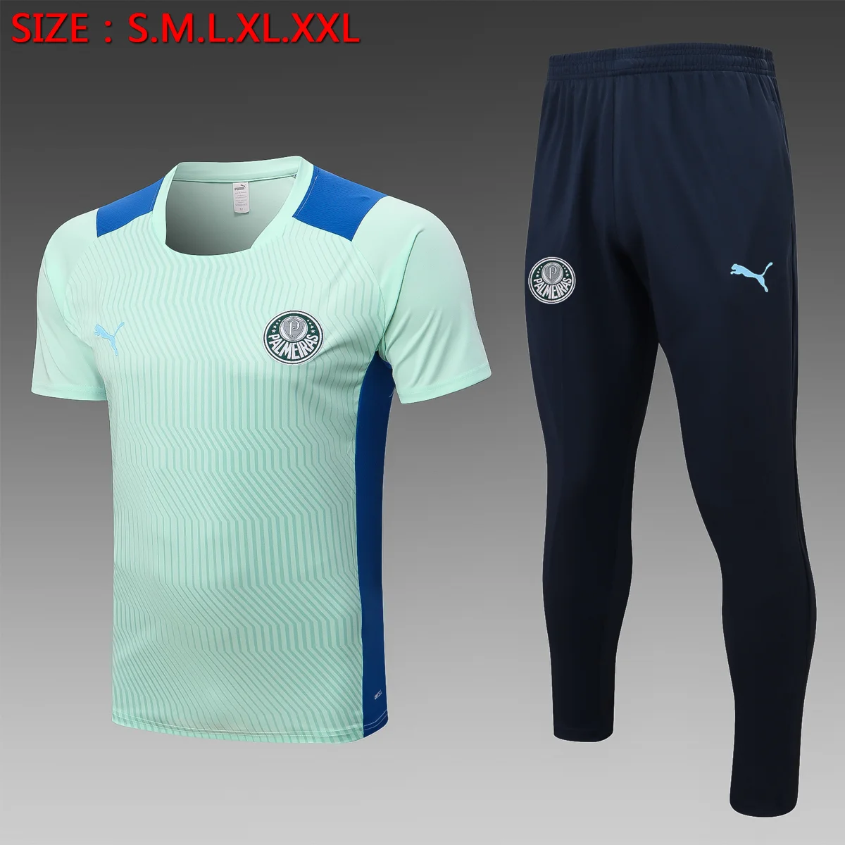 Camisa - Palmeiras (manga curta)