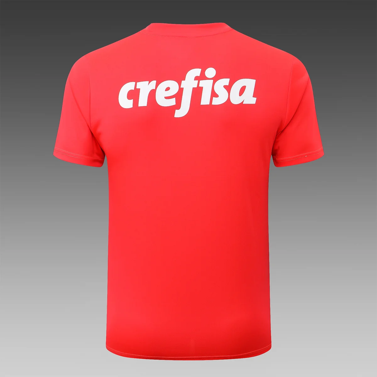 Camisa conjunto - Palmeiras (manga curta)