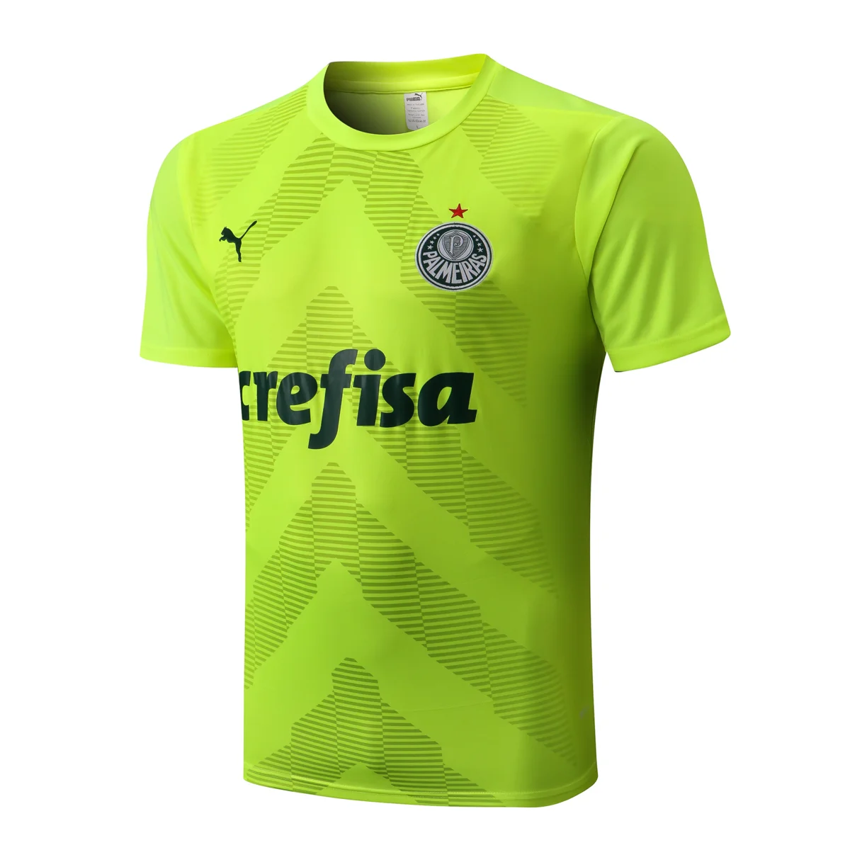 Camisa conjunto - Palmeiras (manga curta)