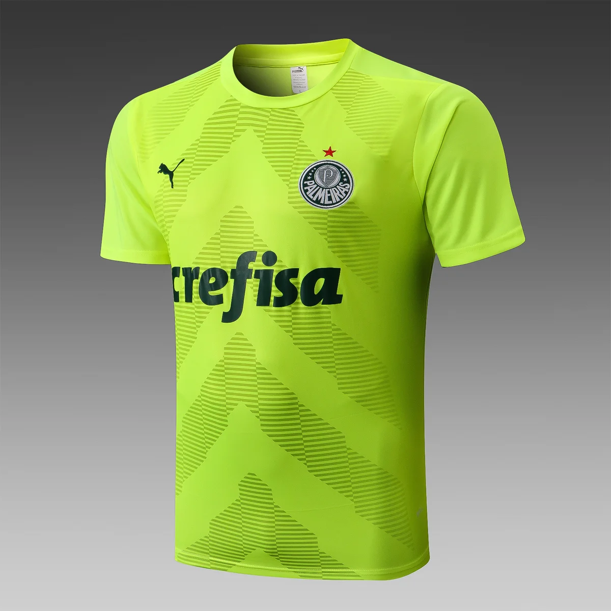 Camisa conjunto - Palmeiras (manga curta)