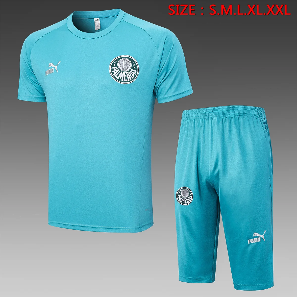 Camisa conjunto - Palmeiras (manga curta)