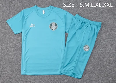 Camisa conjunto - Palmeiras (manga curta)