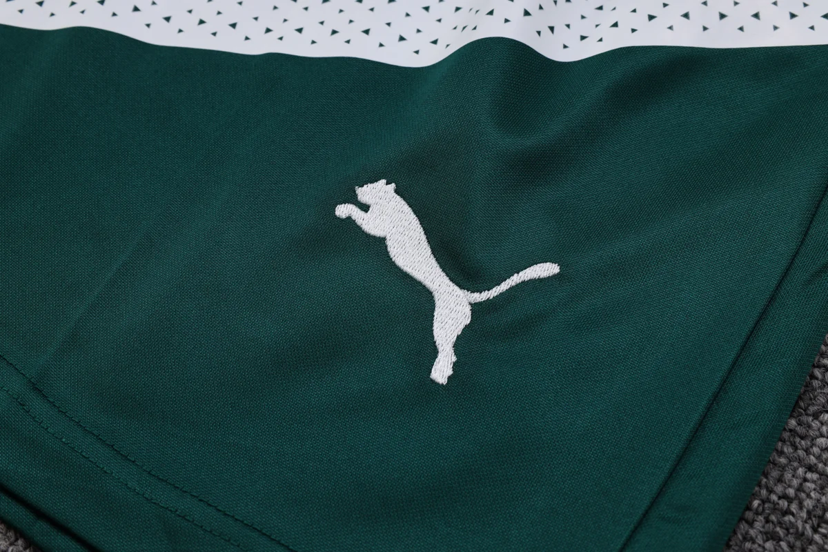 Camisa conjunto - Palmeiras (manga curta)