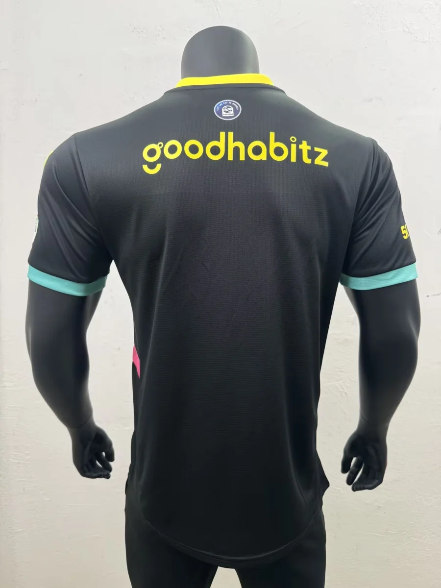 Camisa reserva - PSV Eindhoven 2024/25 - S a XXL