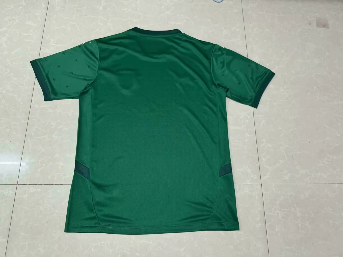 Camisa reserva - Lens 2024/25 - S a XXL