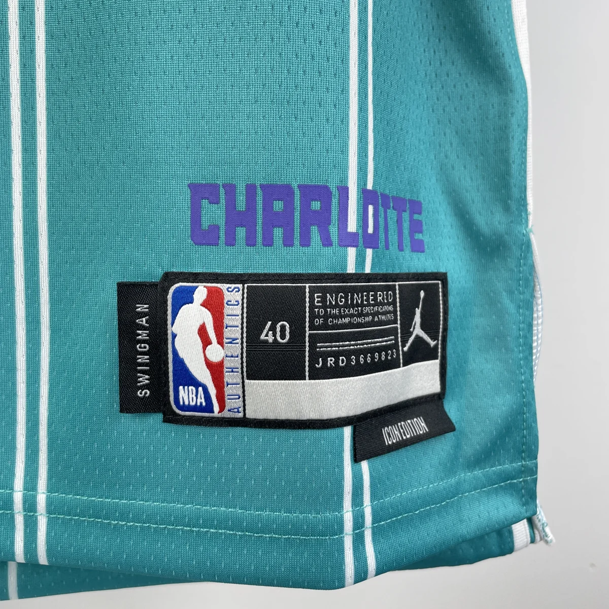 Camisa reserva - Charlotte Hornets