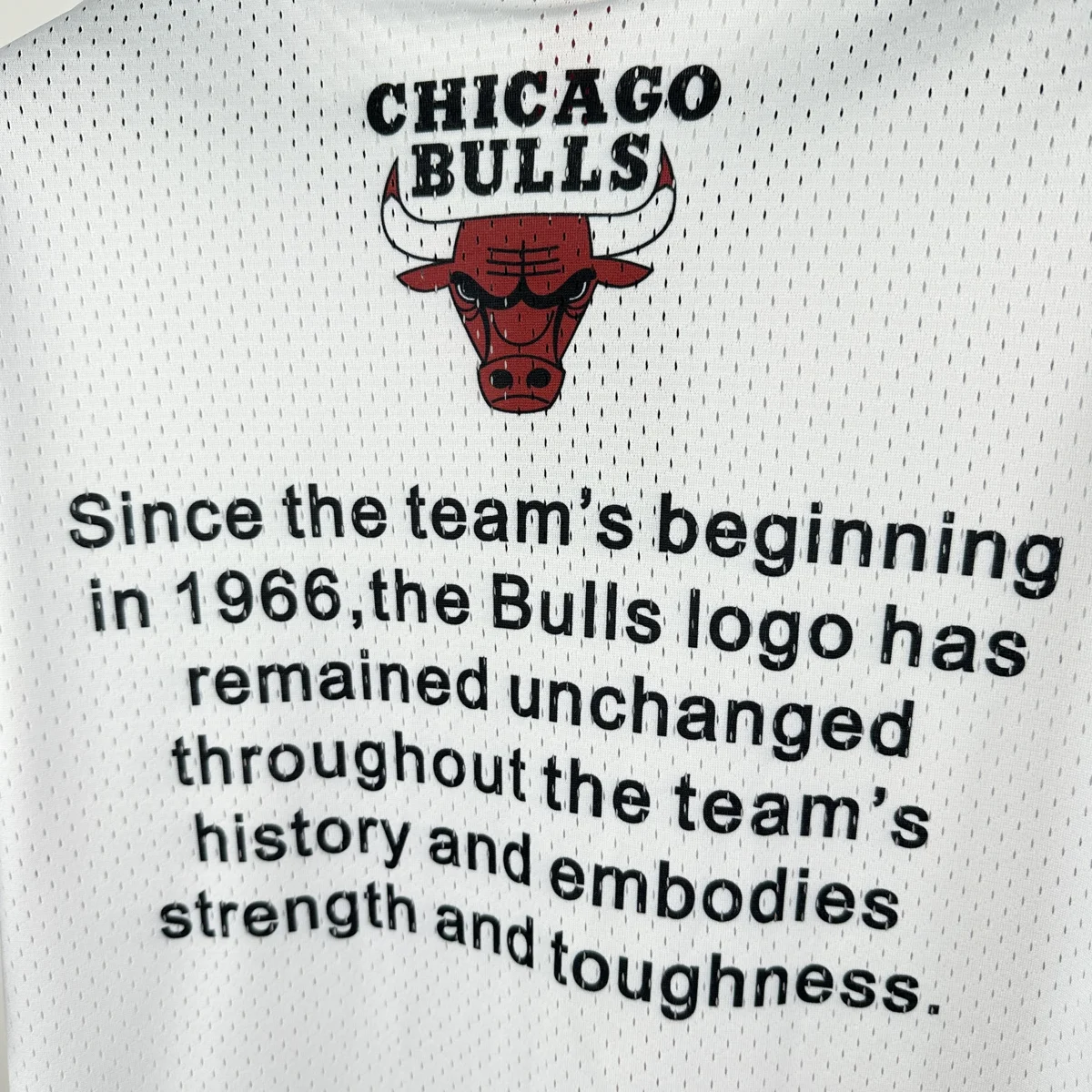 Camisa - Chicago Bulls (retrô)