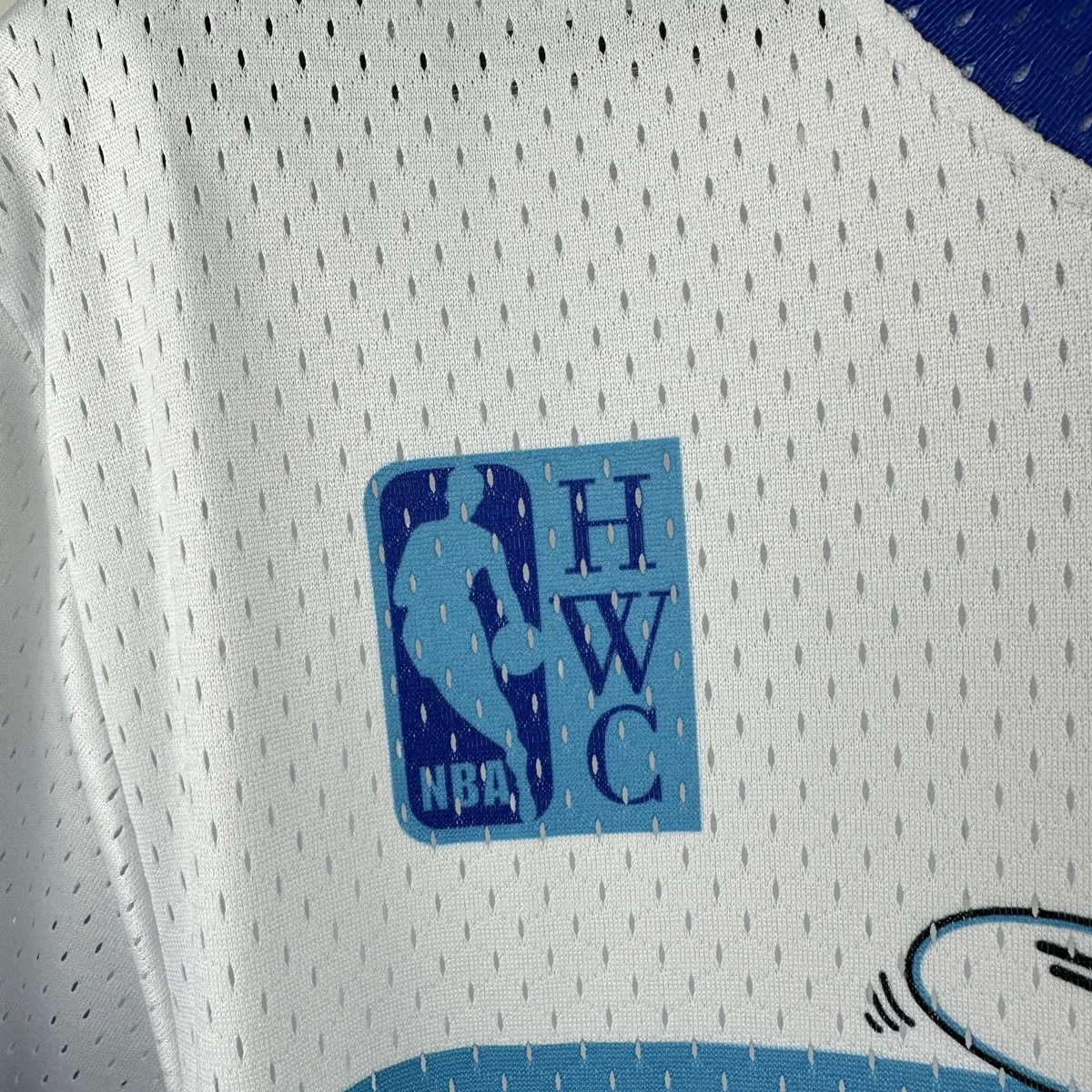 Camisa - Charlotte Hornets (retrô)
