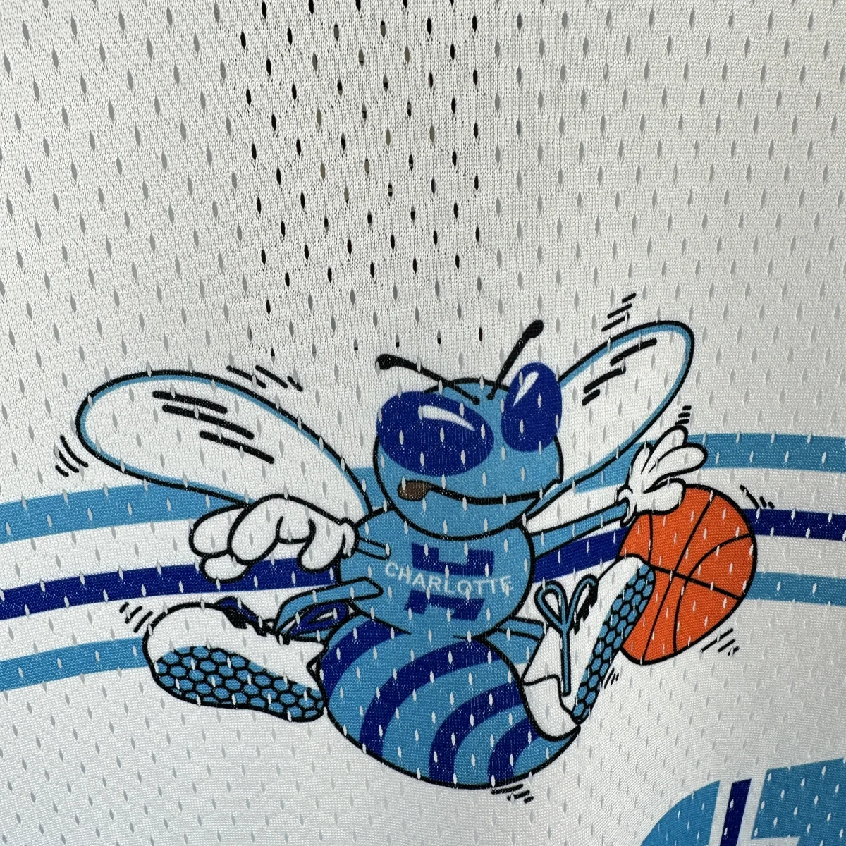 Camisa - Charlotte Hornets (retrô)