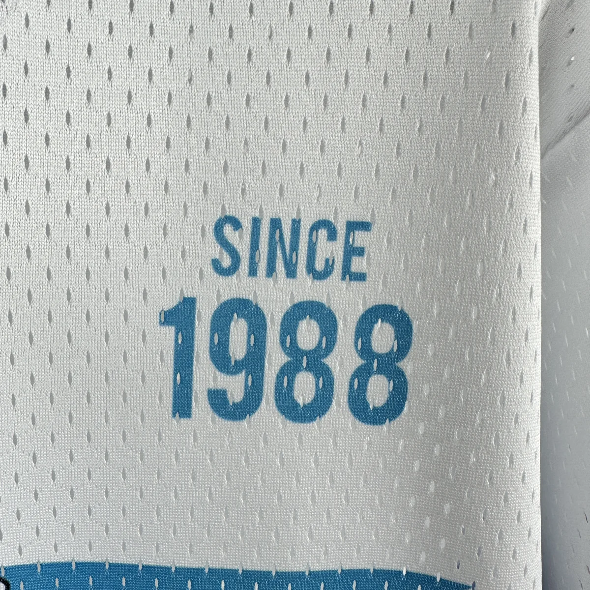Camisa - Charlotte Hornets (retrô)