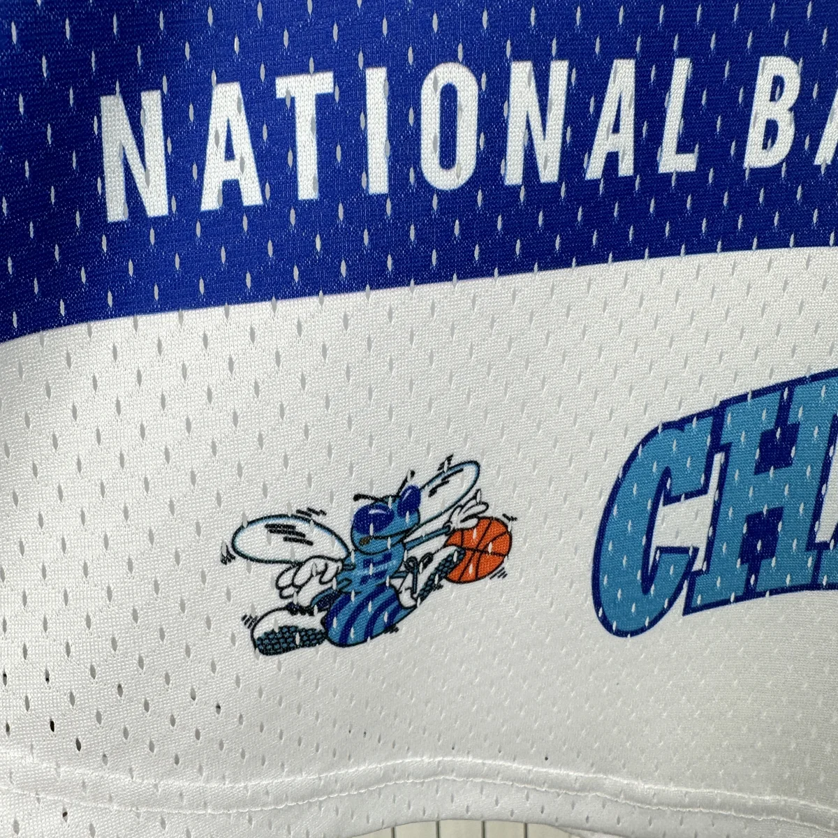 Camisa - Charlotte Hornets (retrô)