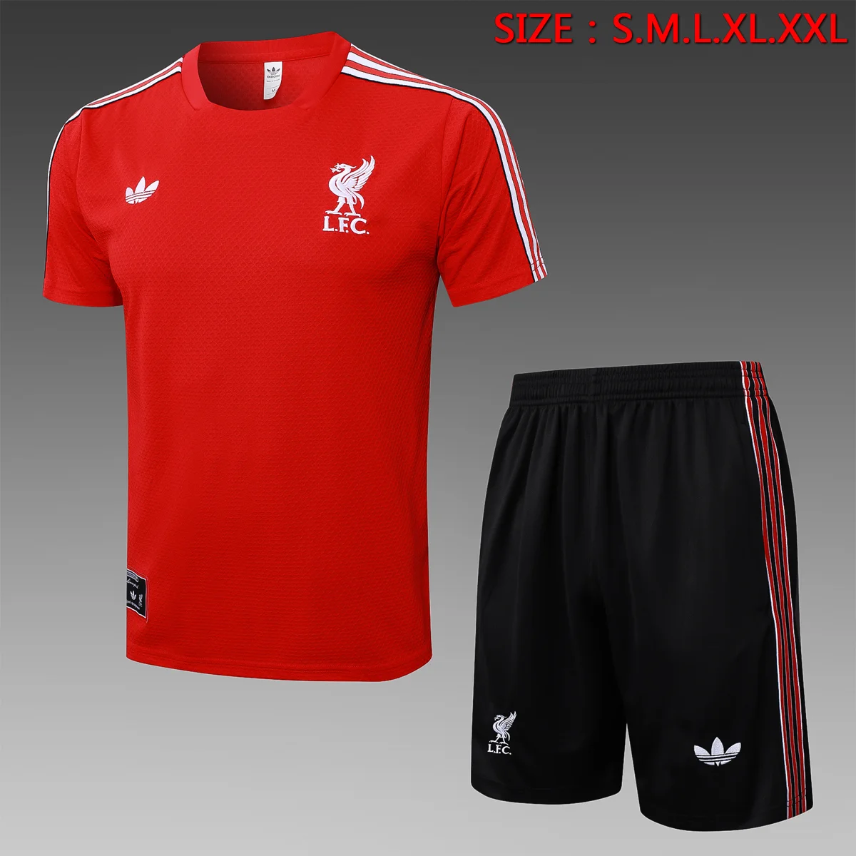 Camisa - Liverpool - foto 18