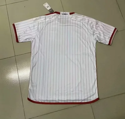 Camisa de treino - Benfica 2023/24 - S a XXL