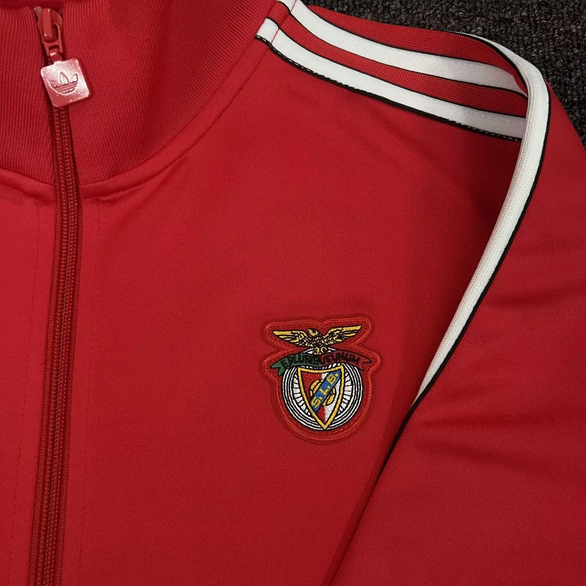 Camisa - Benfica - S a XXL