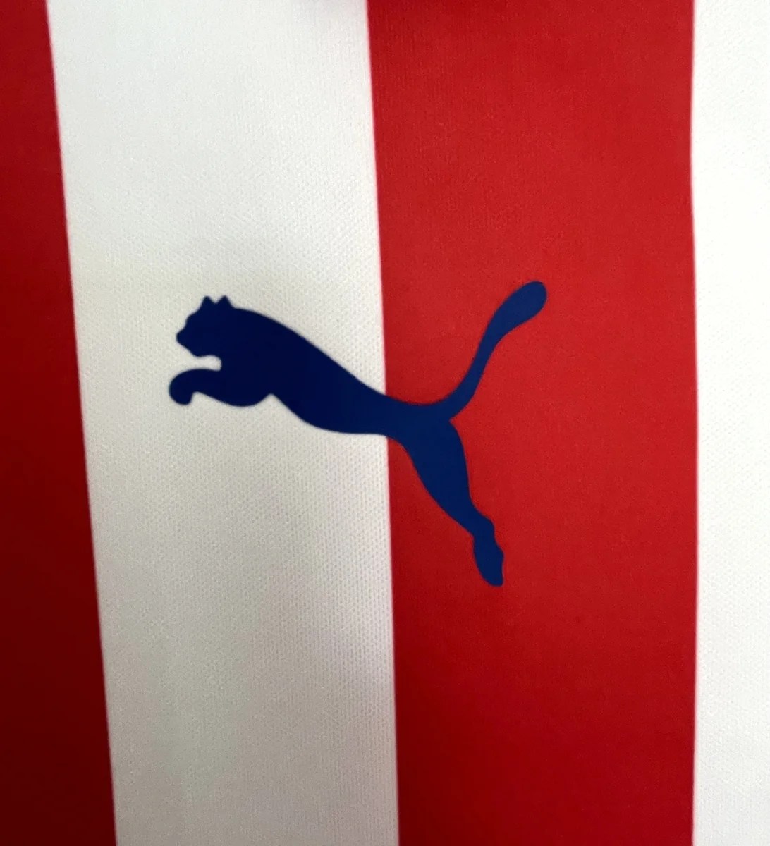 Camisa - Chivas Guadalajara (comemorativa) - 16 a 17