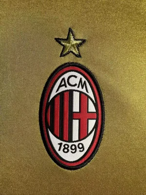 Camisa reserva - AC Milan 2013/14