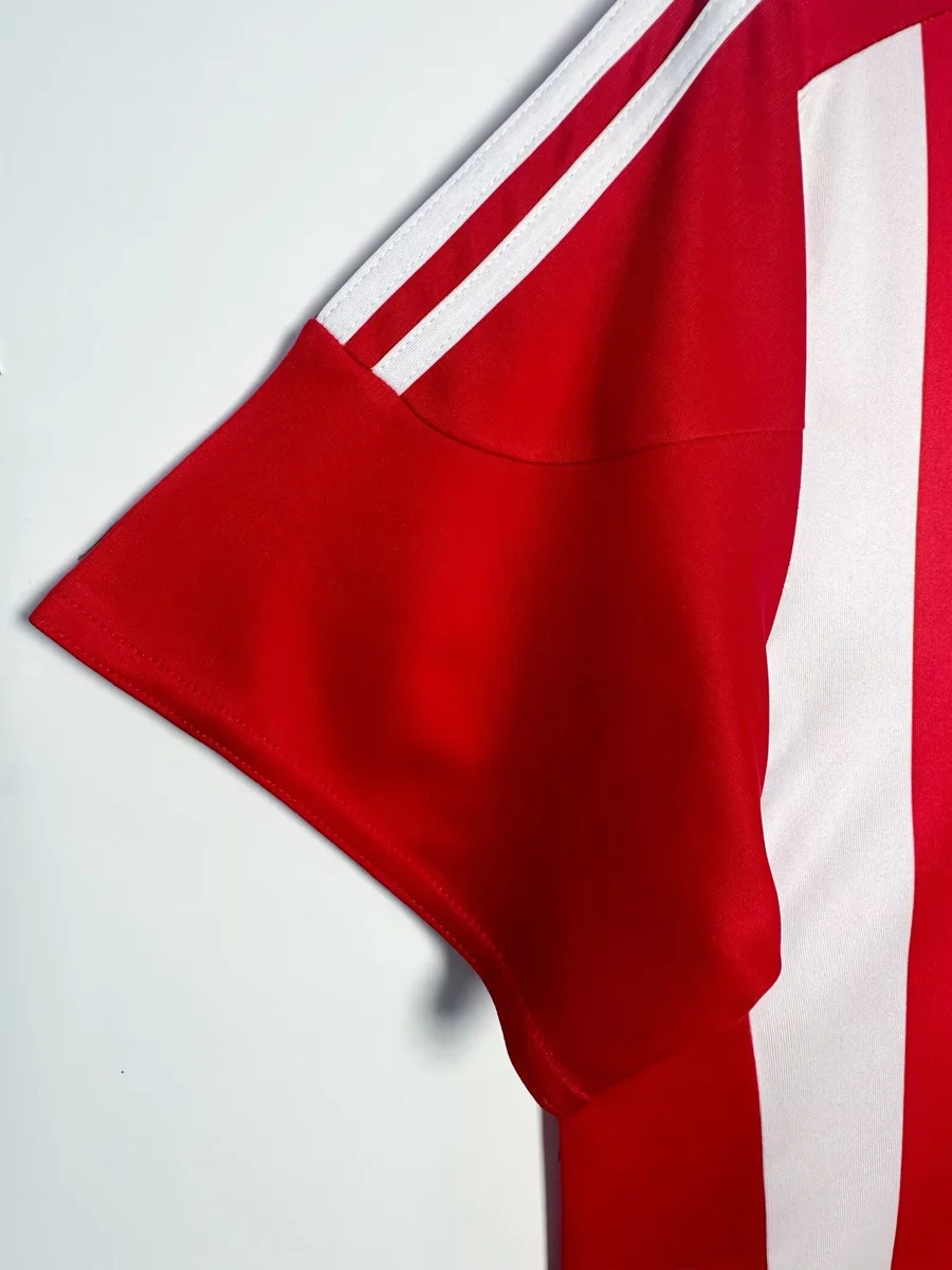Camisa titular - Southampton 2015/16 - foto 6