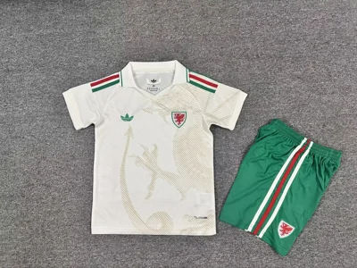 Camisa reserva - País de Gales 2026 - infantil