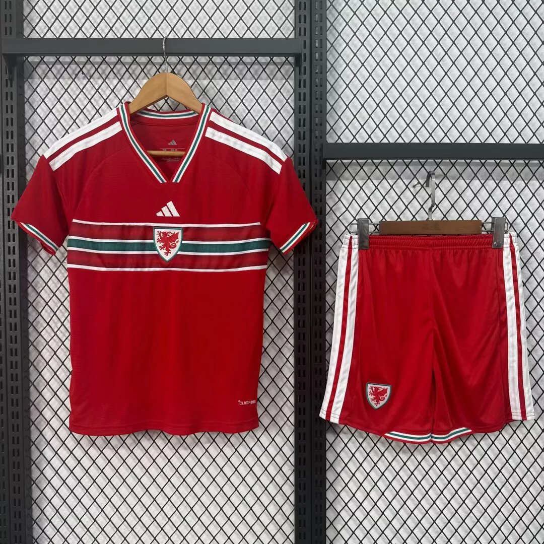 Camisa titular - País de Gales 2026 - infantil