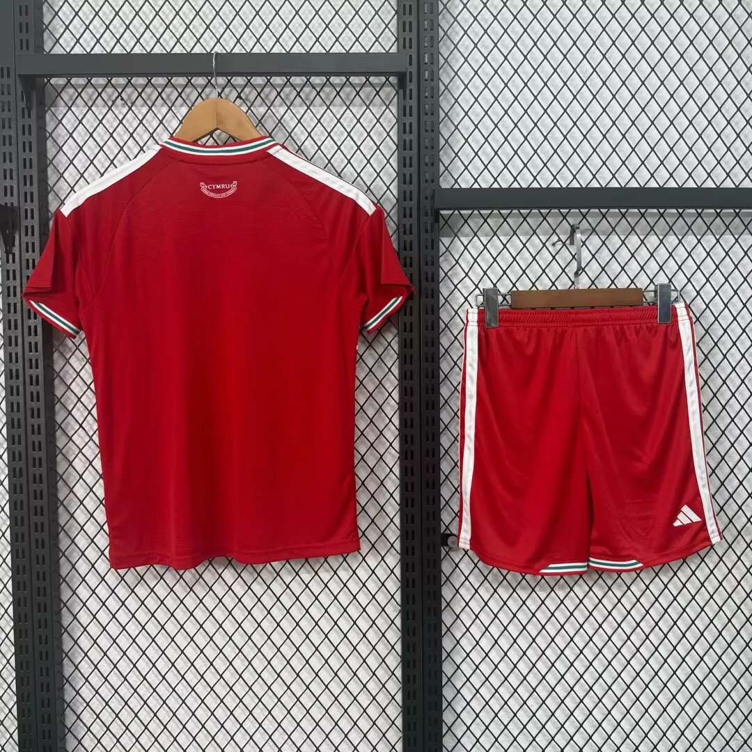 Camisa titular - País de Gales 2026 - infantil - foto 2