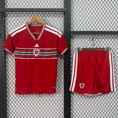 Camisa titular - País de Gales 2026 - infantil