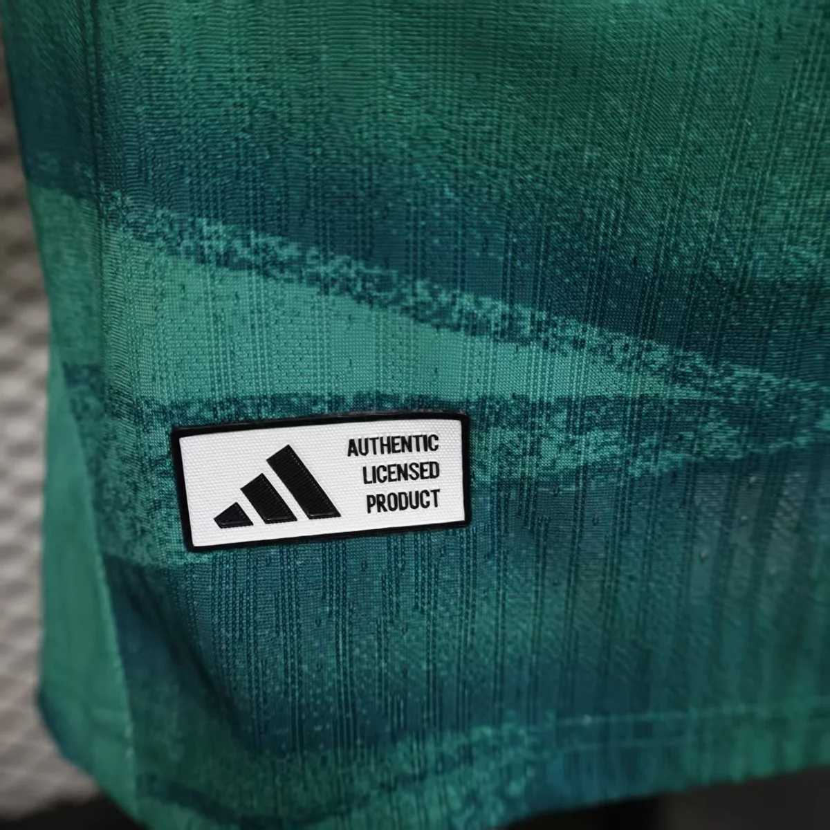 Camisa de goleiro - Alemanha 2026 - versão jogador